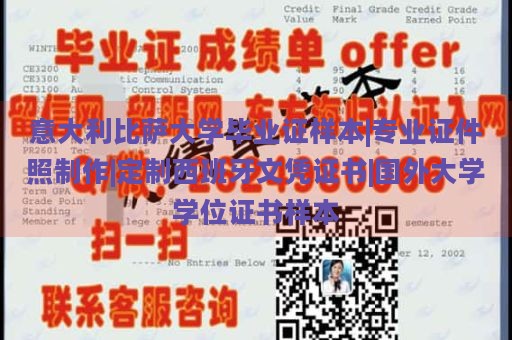 意大利比萨大学毕业证样本|专业证件照制作|定制西班牙文凭证书|国外大学学位证书样本