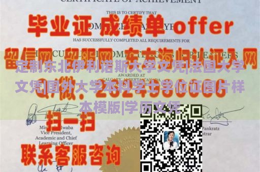 定制东北伊利诺斯大学文凭|法国大学文凭|国外大学本科学士学位证图片样本模版|学历文凭