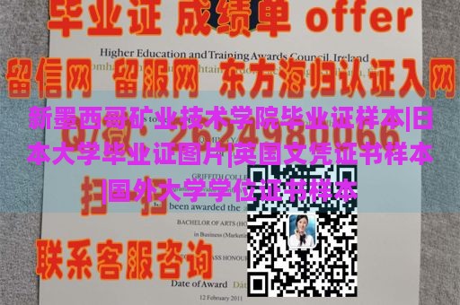 新墨西哥矿业技术学院毕业证样本|日本大学毕业证图片|英国文凭证书样本|国外大学学位证书样本