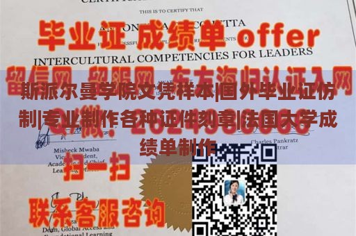 斯派尔曼学院文凭样本|国外毕业证仿制|专业制作各种证件刻章|法国大学成绩单制作