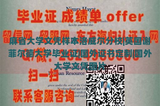 麻省大学文凭样本洛威尔分校|英国谢菲尔德大学毕业证|国外证书定制|国外大学文凭图片