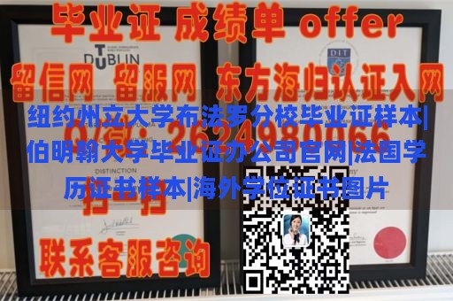 纽约州立大学布法罗分校毕业证样本|伯明翰大学毕业证办公司官网|法国学历证书样本|海外学位证书图片