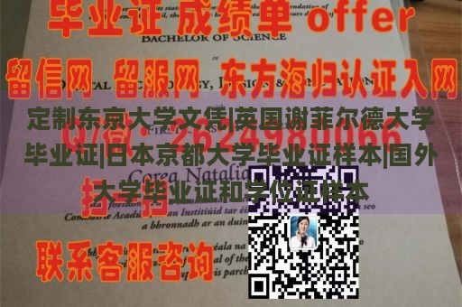 定制东京大学文凭|英国谢菲尔德大学毕业证|日本京都大学毕业证样本|国外大学毕业证和学位证样本